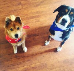 Mason & Sara